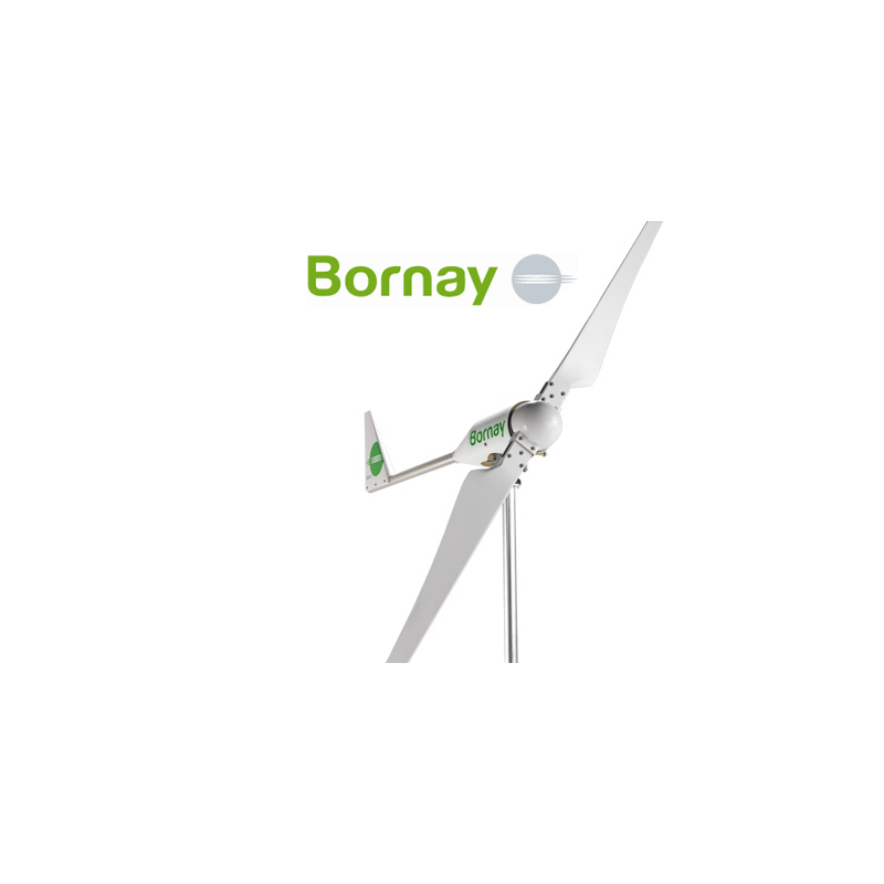 Aerogenerador Bornay 1kW Wind 13+