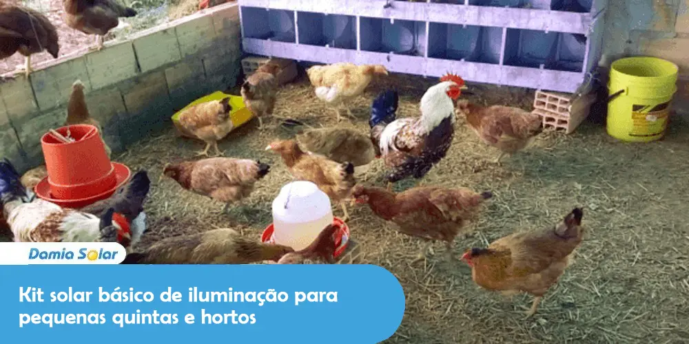 Kit solar básico de iluminação para pequenas quintas e hortos