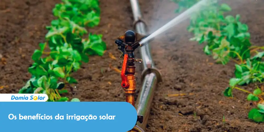 Os benefícios da irrigação solar