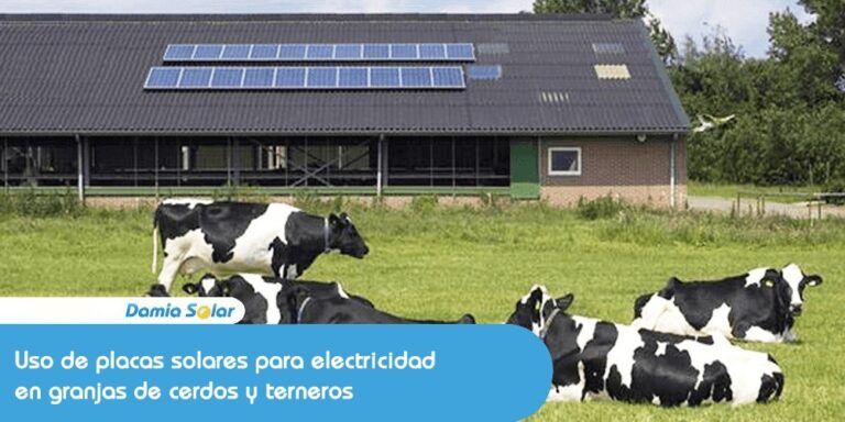Uso de placas solares para electricidad en granjas de cerdos y terneros